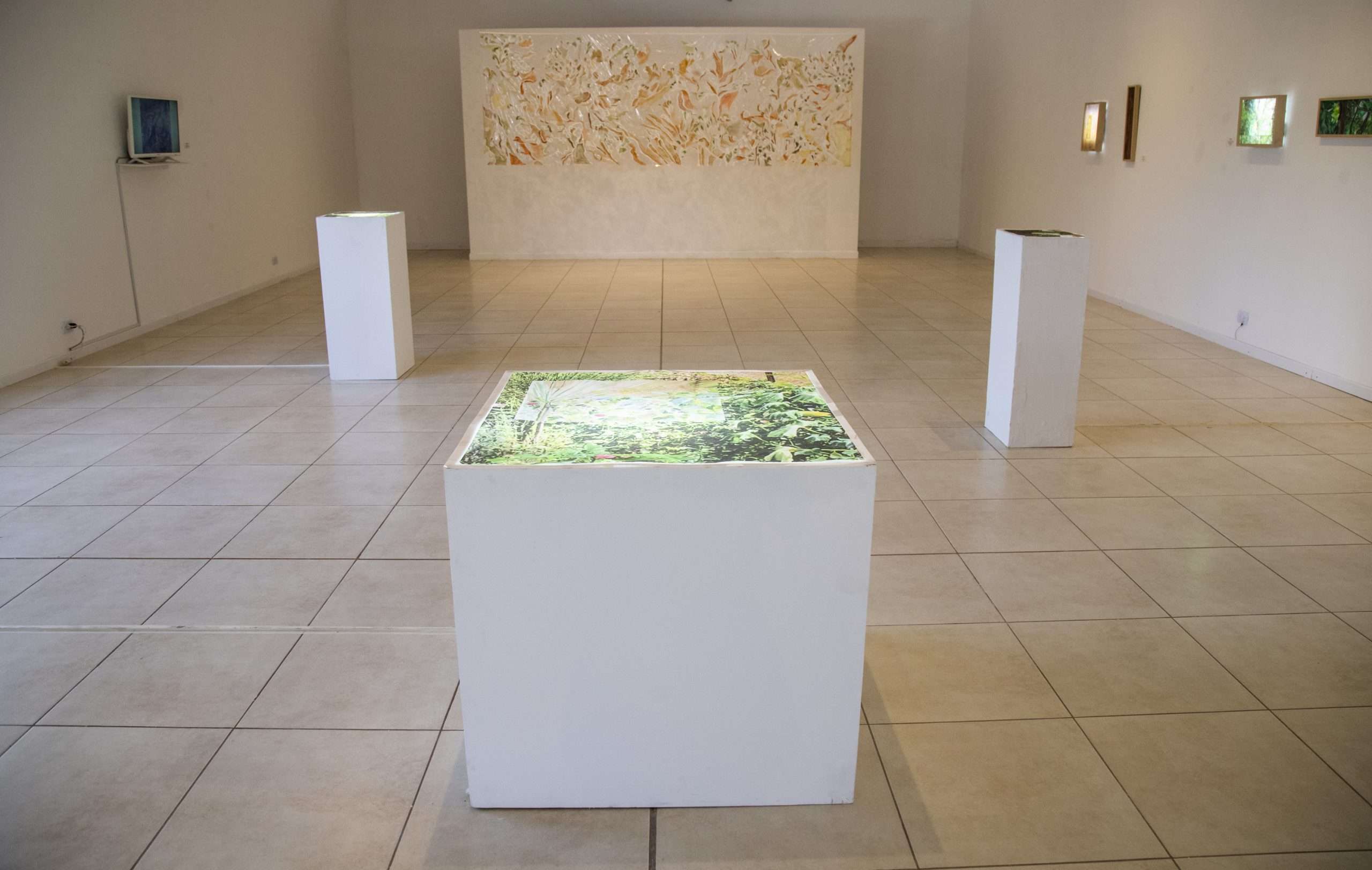 “Jardín desde la ventana “   Cubo de luz con impresión de superposición digital de acuarela y fotografía sobre papel vegetal .  76,5 x 76,5 cm .  2018-2021