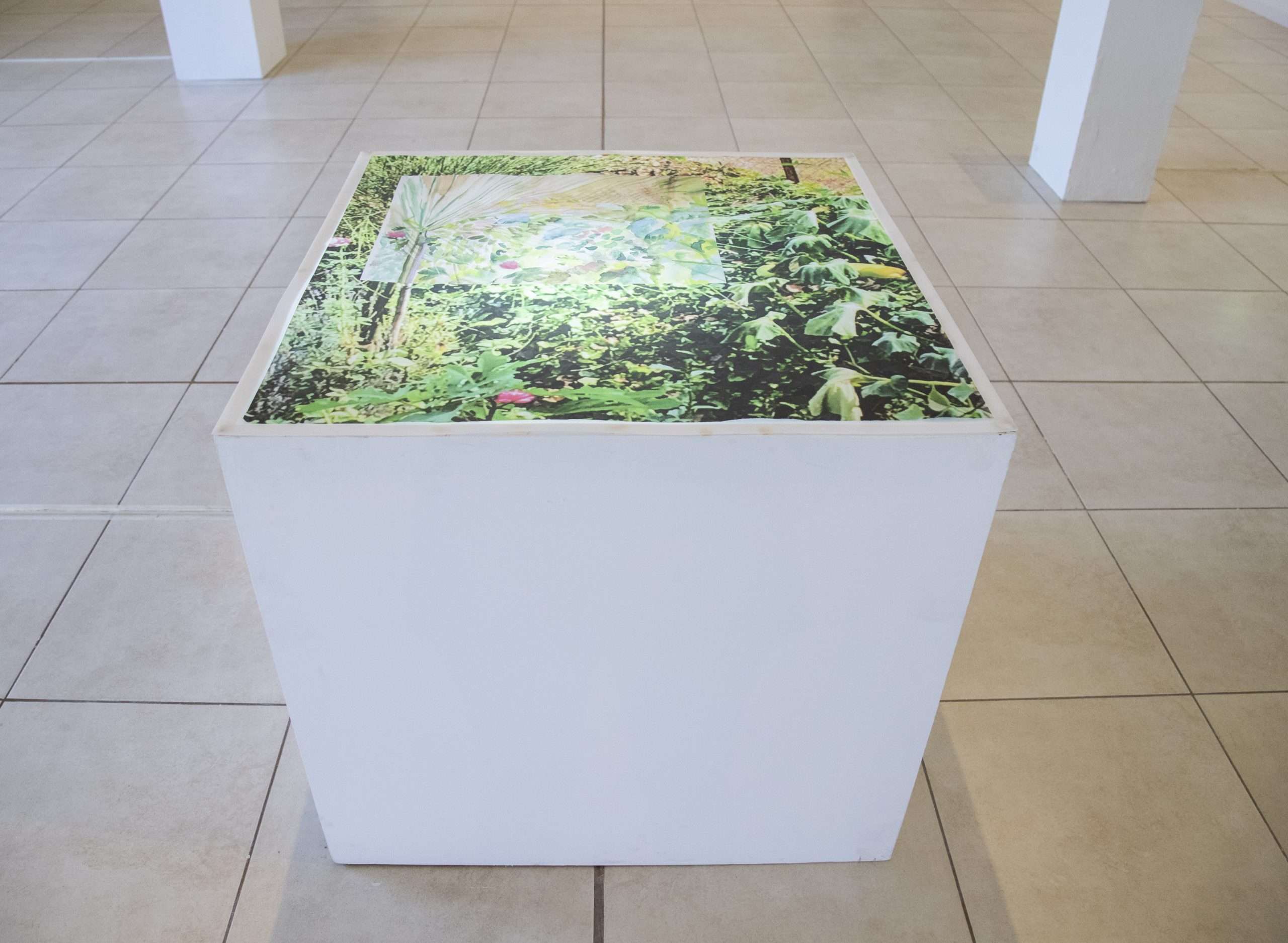 “Jardín desde la ventana “   Cubo de luz con impresión de superposición digital de acuarela y fotografía sobre papel vegetal .  76,5 x 76,5 cm .  2018-2021