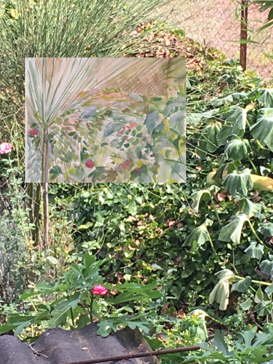 “Jardín desde la ventana “   superposición digital de acuarela y fotografía sobre papel vegetal . 2018-2021