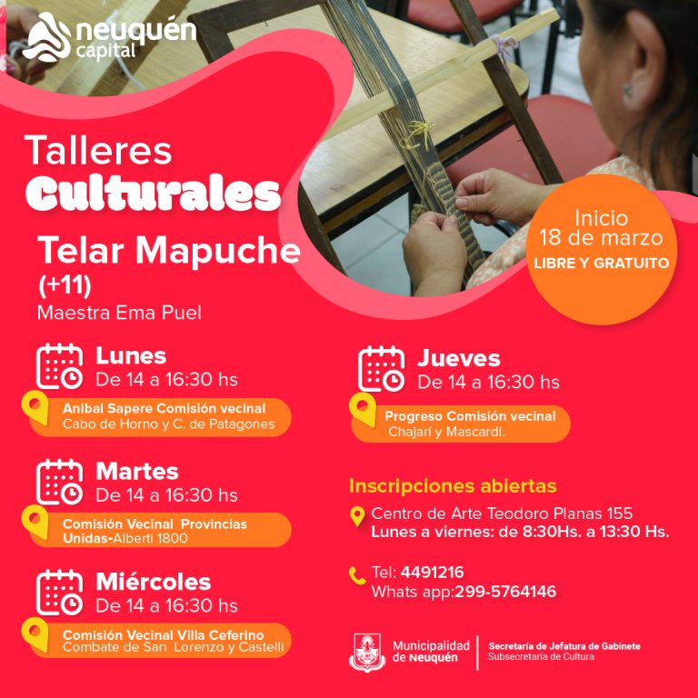 Talleres Culturales (14)