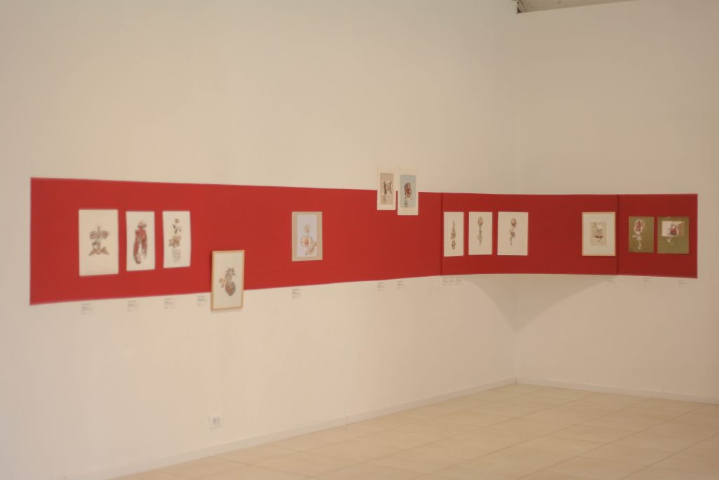 Cuerpos. Lo monstruoso y lo sensible / Guadalupe Lazzaroni
