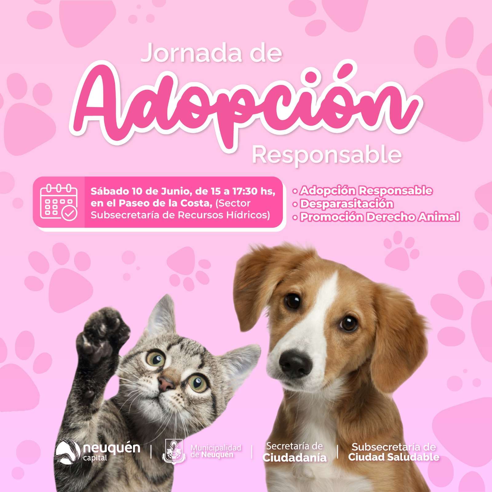Este sábado se realiza nueva Jornada de Adopción Responsable de Animales no Humanos en el Paseo Costero thumbnail