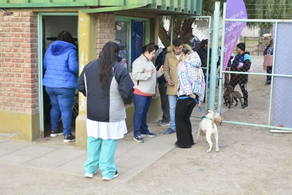 Neuquén tiene su primera plaza para perros