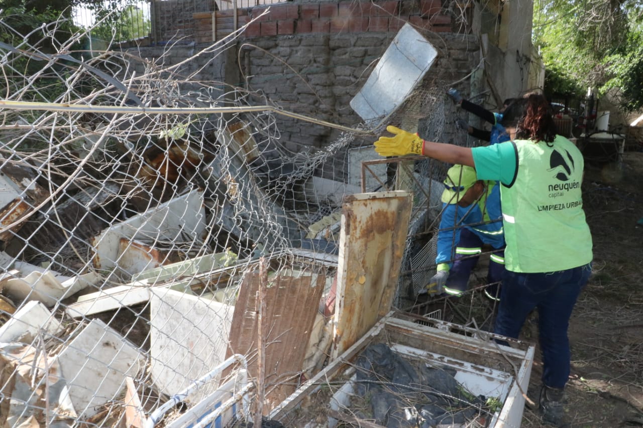 El municipio comenzó un operativo de limpieza de tres terrenos baldíos en Villa Florencia thumbnail