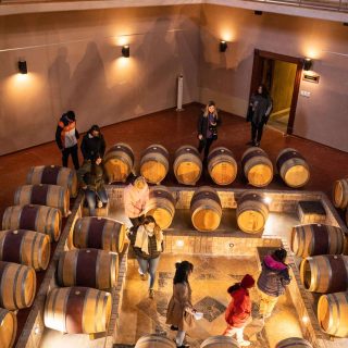 Bodegas Bodegas
