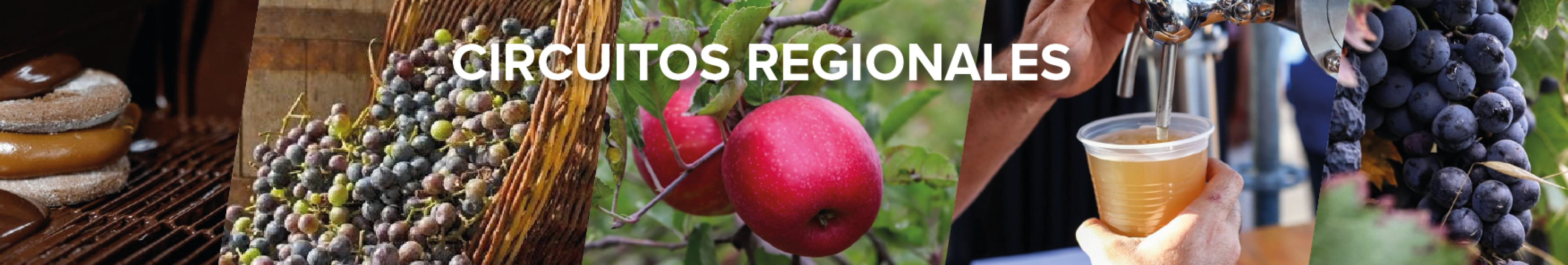 Circuitos Regionales 07-06-24-01 (1)