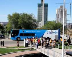 Bus Turístico