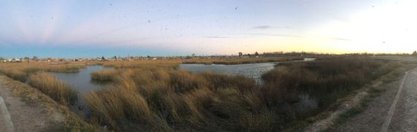 Laguna San Lorenzo