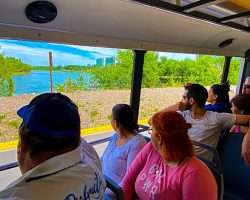 Paseo Costero en Minibus