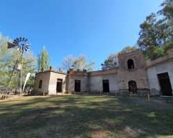 Torre Talero en Minibus