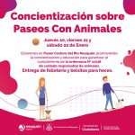 Concientización sobre Paseos con Animales
