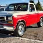 Ford F100